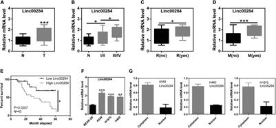 Upregulation of Linc00284 Promotes Lung Cancer Progression by Regulating the miR-205-3p/c-Met Axis